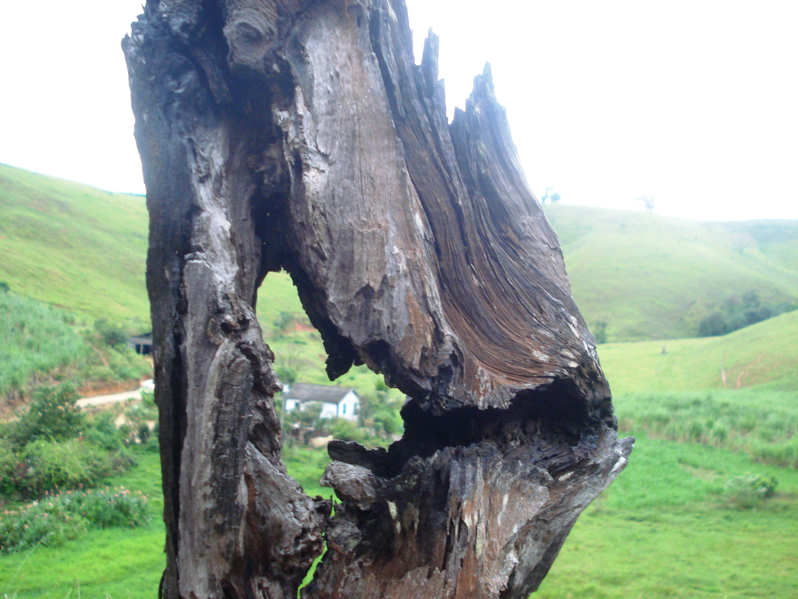 Paisagens de nosso Município